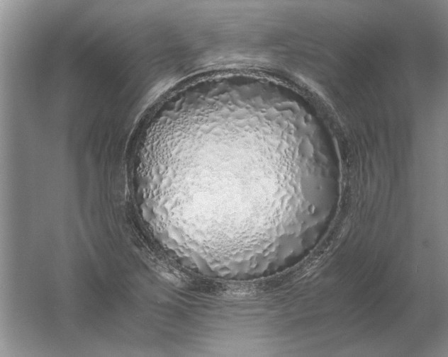 X0000061721267200512161546