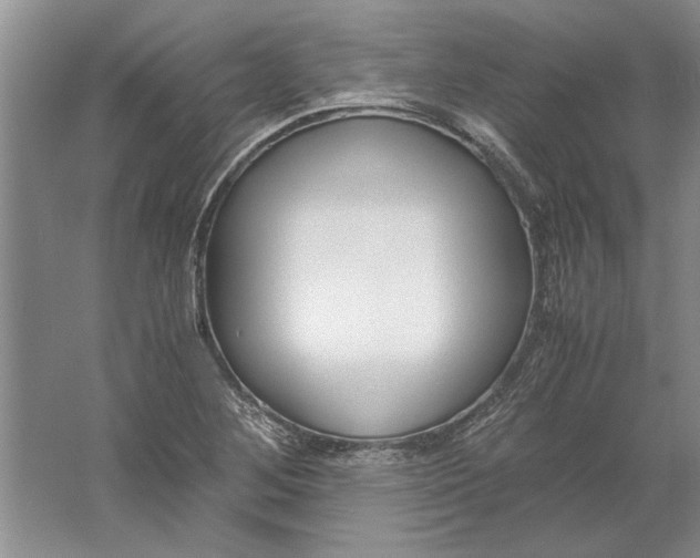 X0000061721268200512161546