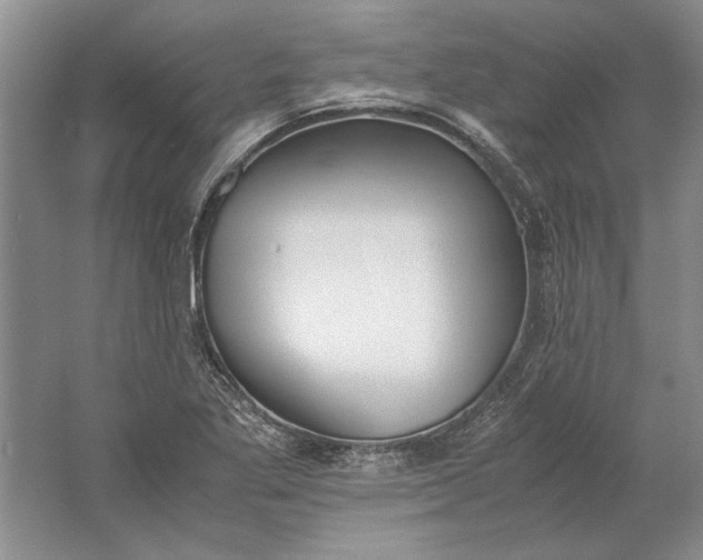 X0000061721269200512161546