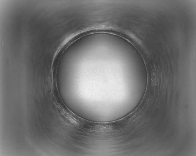 X0000061721270200512161545