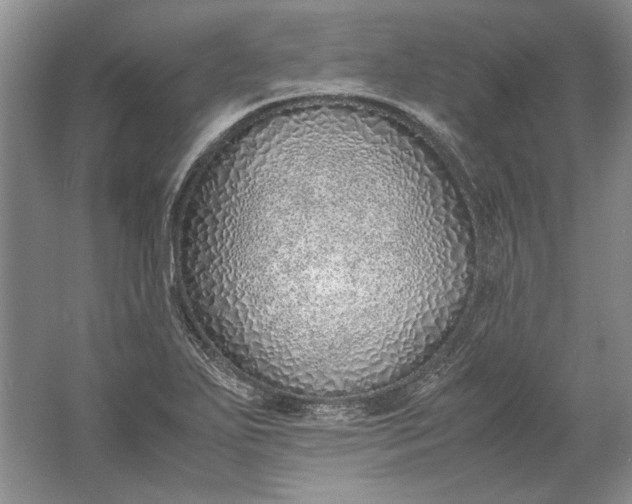 X0000061721271200512161545