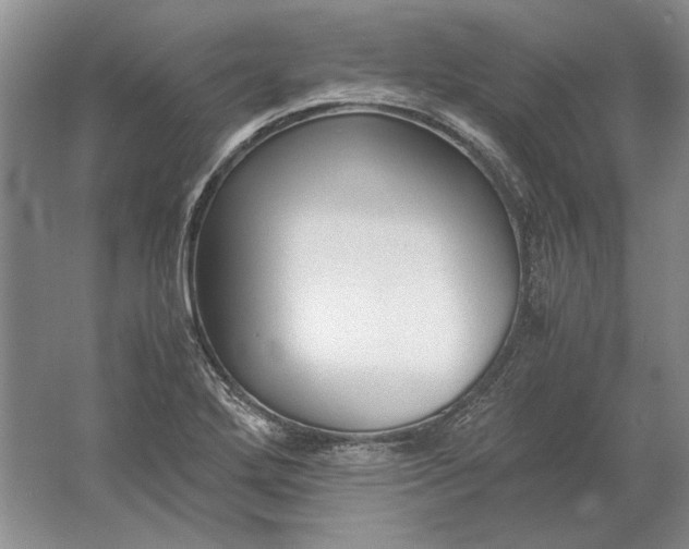 X0000061721272200512161545