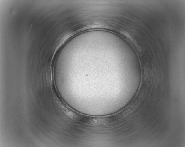 X0000061721274200512161545