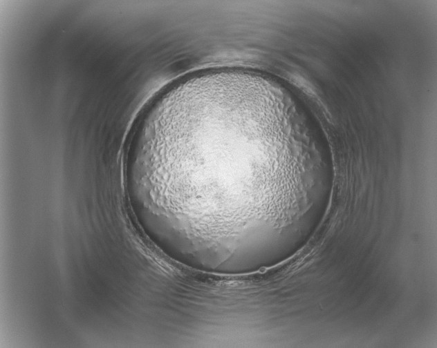 X0000061721275200512161545