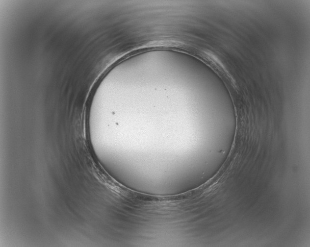 X0000061721276200512161545