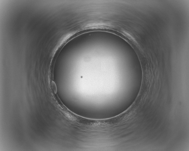 X0000061721277200512161545