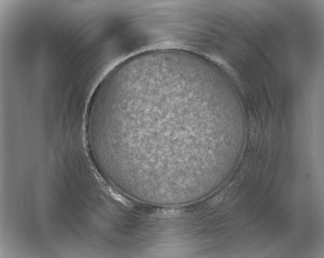 X0000061721278200512161545