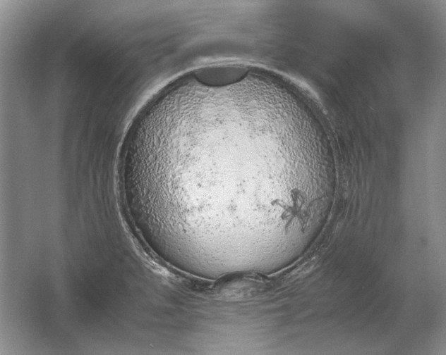 X0000061721279200512161545