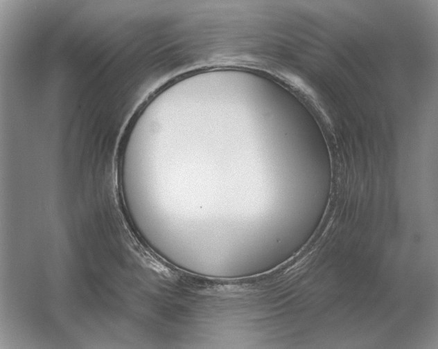 X0000061721280200512161545