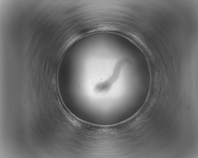 X0000061721281200512161545