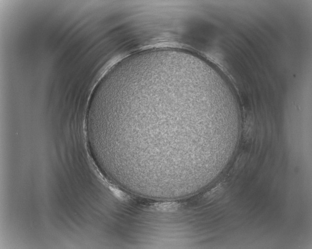 X0000061721282200512161545