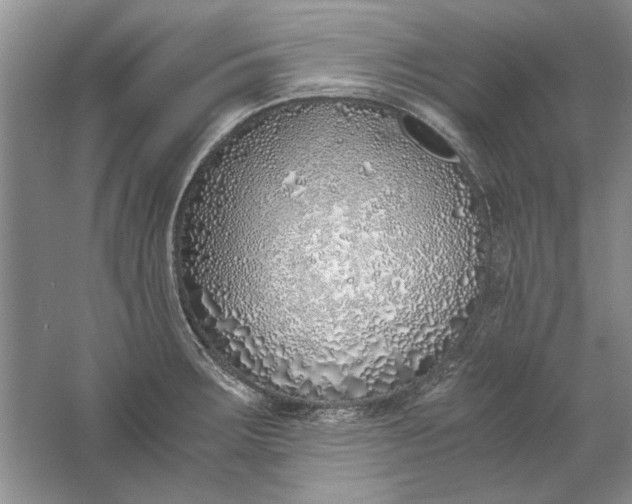 X0000061721283200512161545