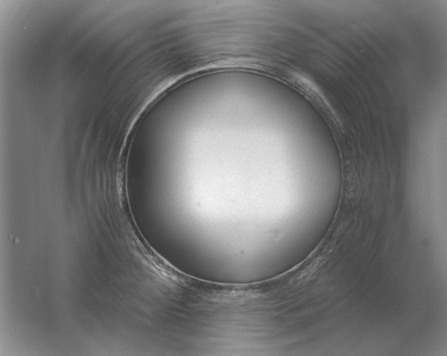 X0000061721284200512161545