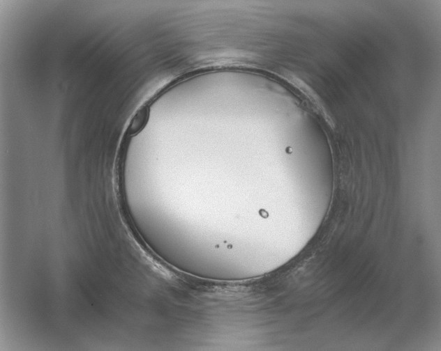 X0000061721285200512161545