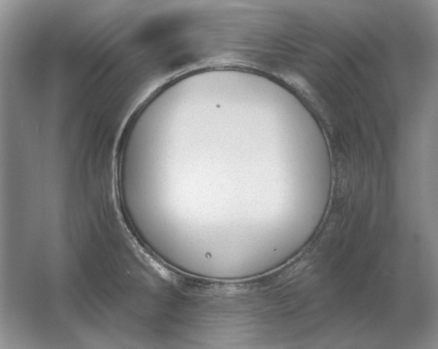 X0000061721286200512161545