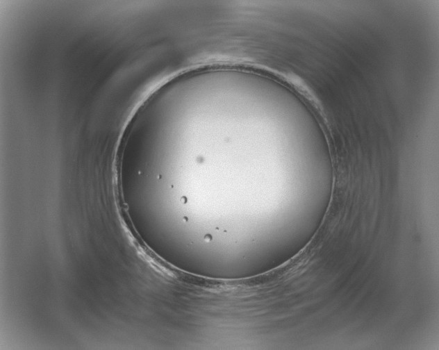 X0000061721287200512161545