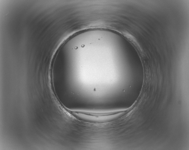 X0000061721288200512161545