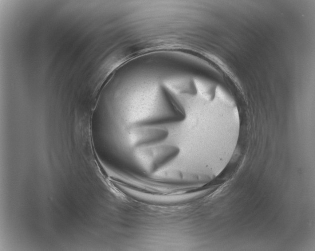 X0000061721289200512161545