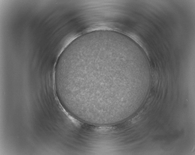 X0000061721290200512161545