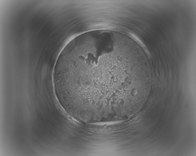 X0000061721291200512161545