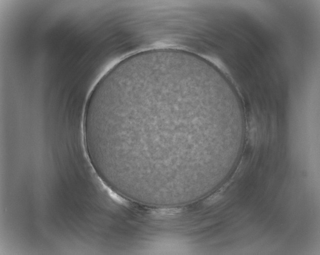 X0000061721294200512161545