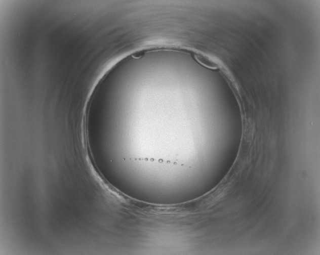 X0000061721295200512161545