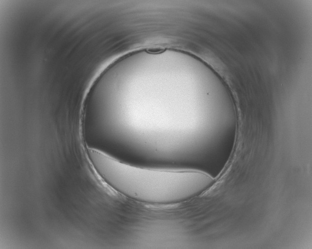 X0000061721296200512161545