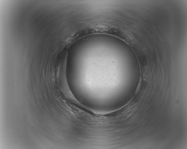 X0000061721298200512161544