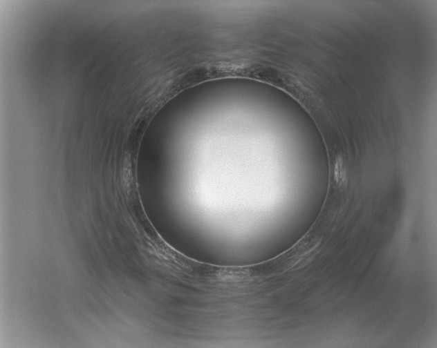 X0000061721299200512161544