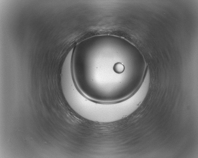 X0000061721300200512161544