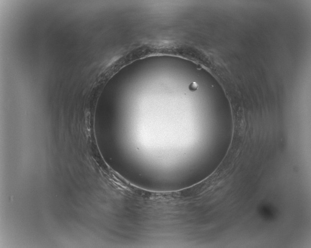 X0000061721301200512161544