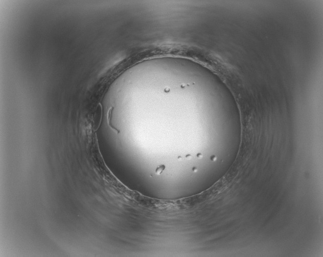 X0000061721302200512161544