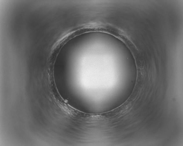 X0000061721304200512161544