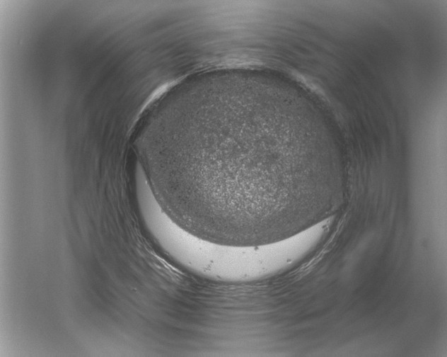 X0000061721306200512161544