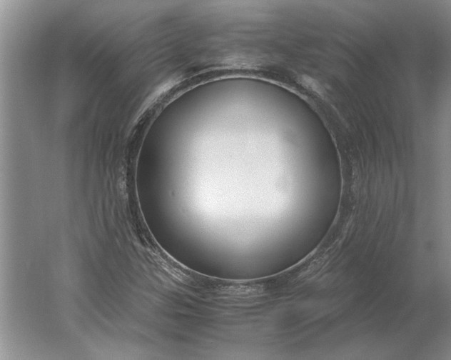 X0000061721307200512161544