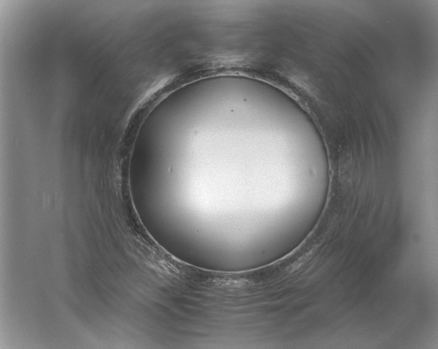 X0000061721309200512161544