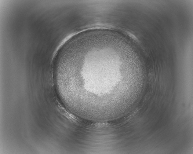 X0000061721310200512161544