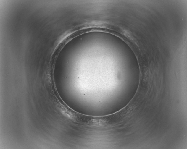 X0000061721312200512161544