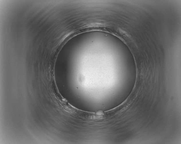 X0000061721313200512161544