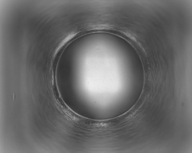 X0000061721317200512161545