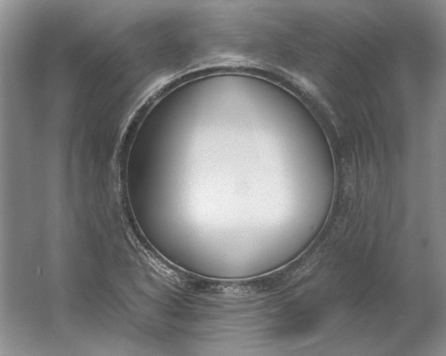 X0000061721318200512161545