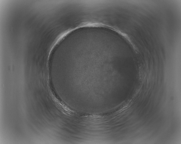 X0000061721319200512161545