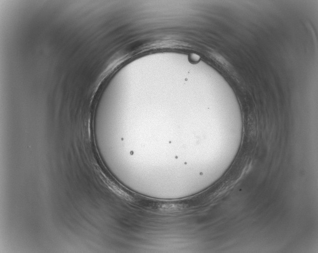 X0000061721322200512161545