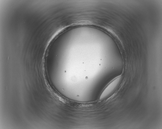 X0000061721325200512161545