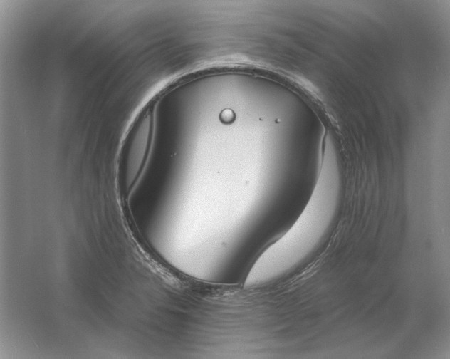 X0000061721326200512161545