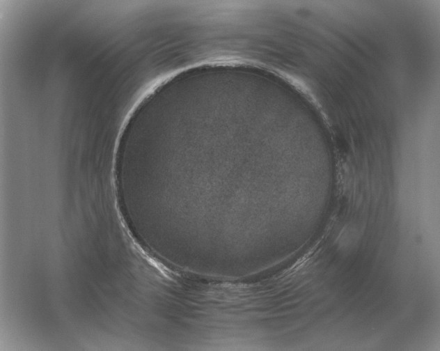 X0000061721327200512161545