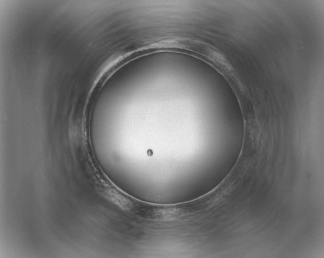 X0000061721328200512161545