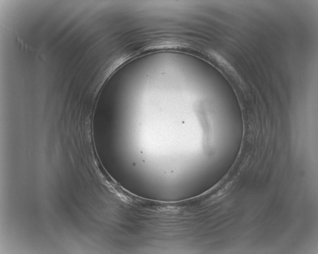 X0000061721329200512161545