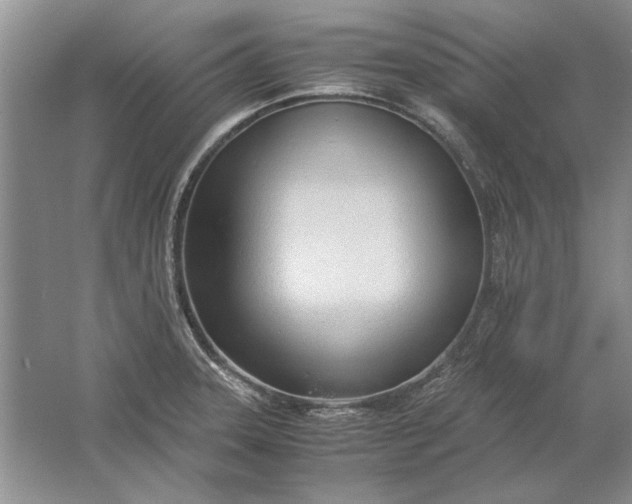 X0000061721331200512161545