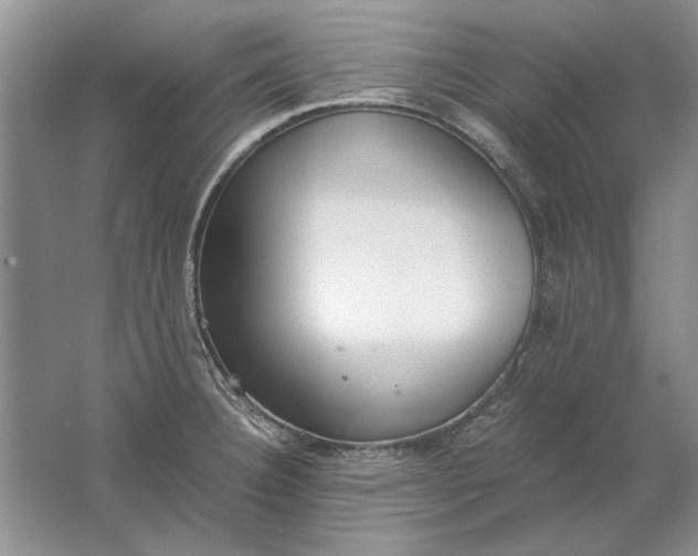 X0000061721332200512161545